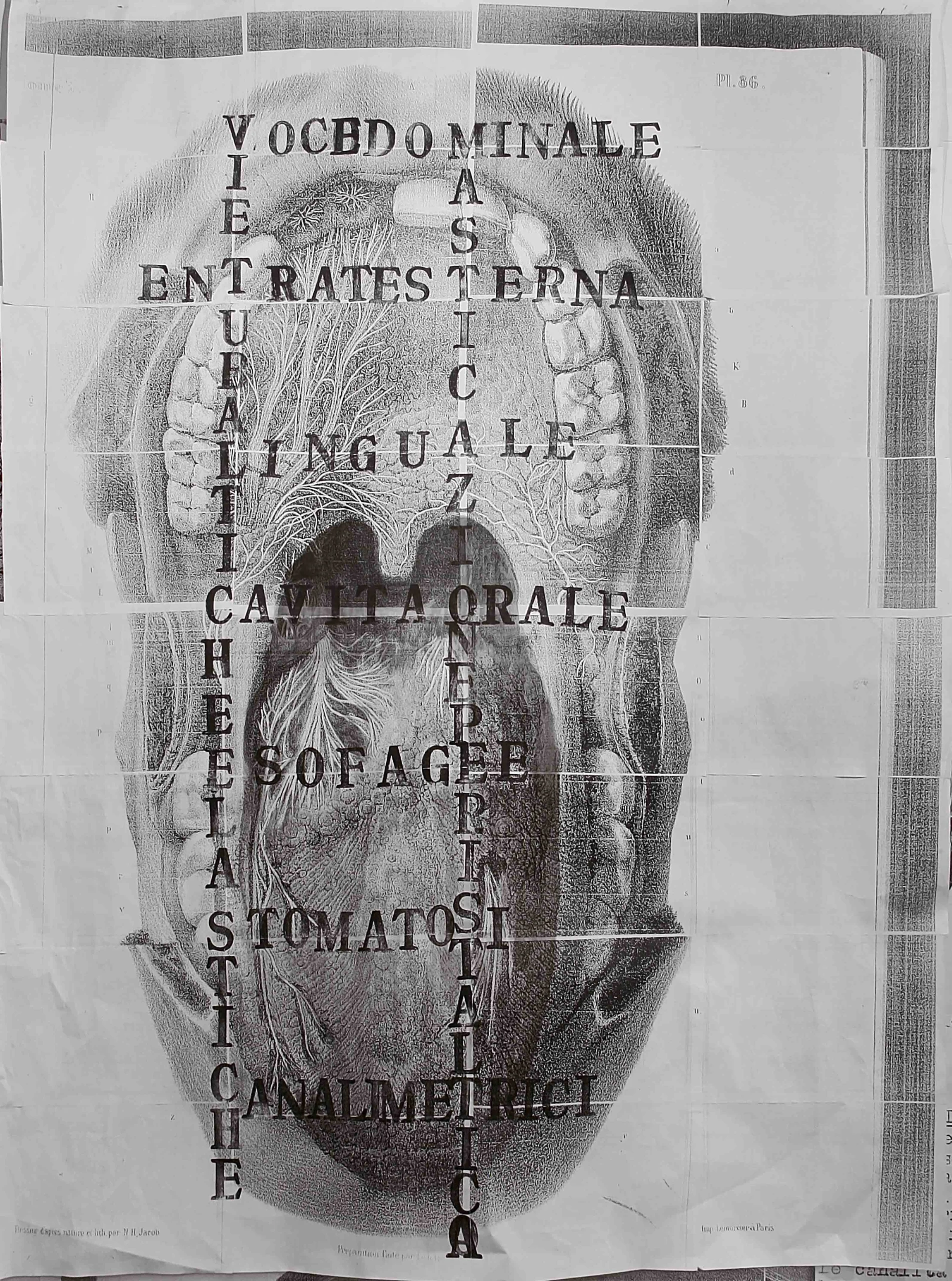 Index, 2012