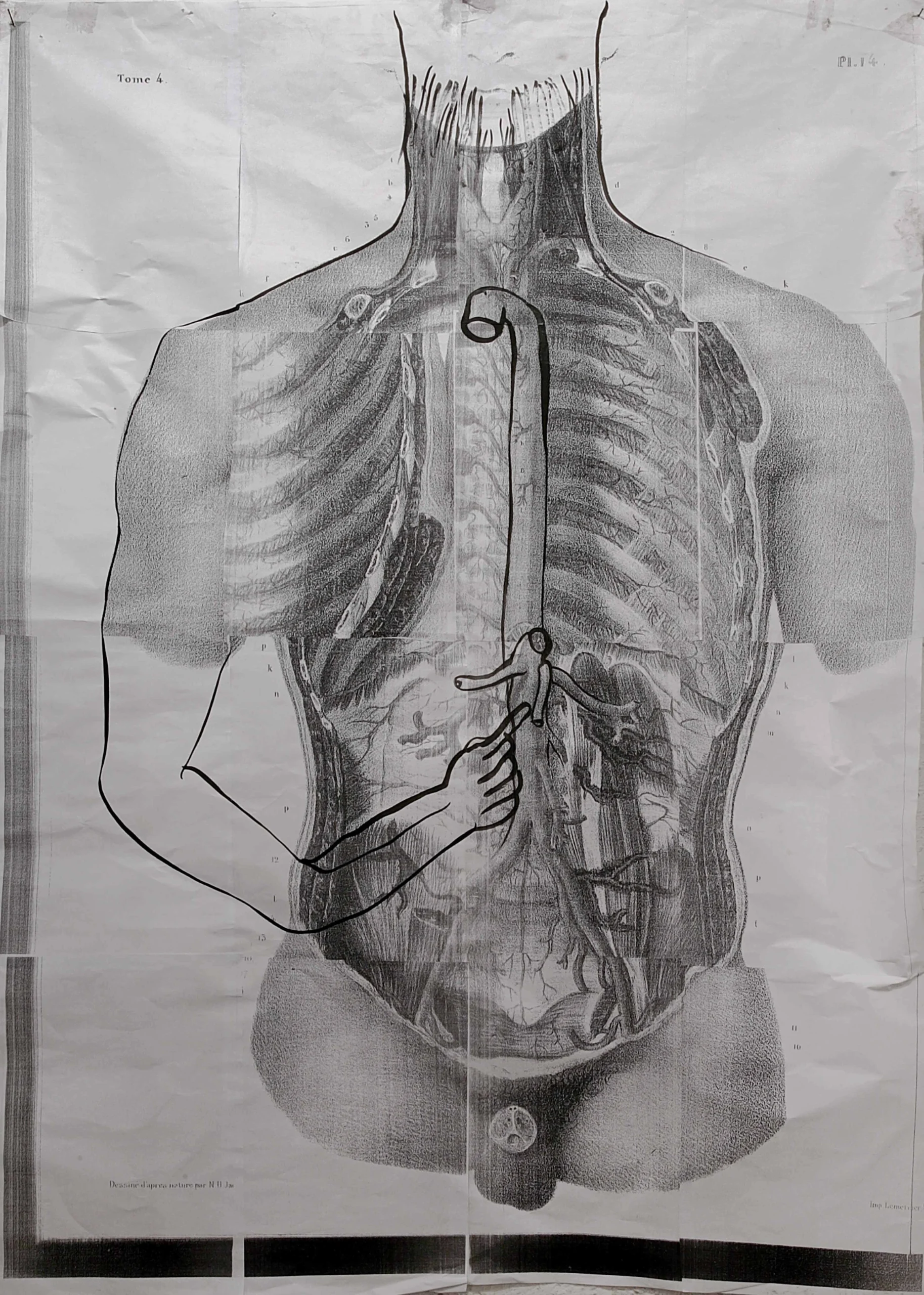 Index, 2012