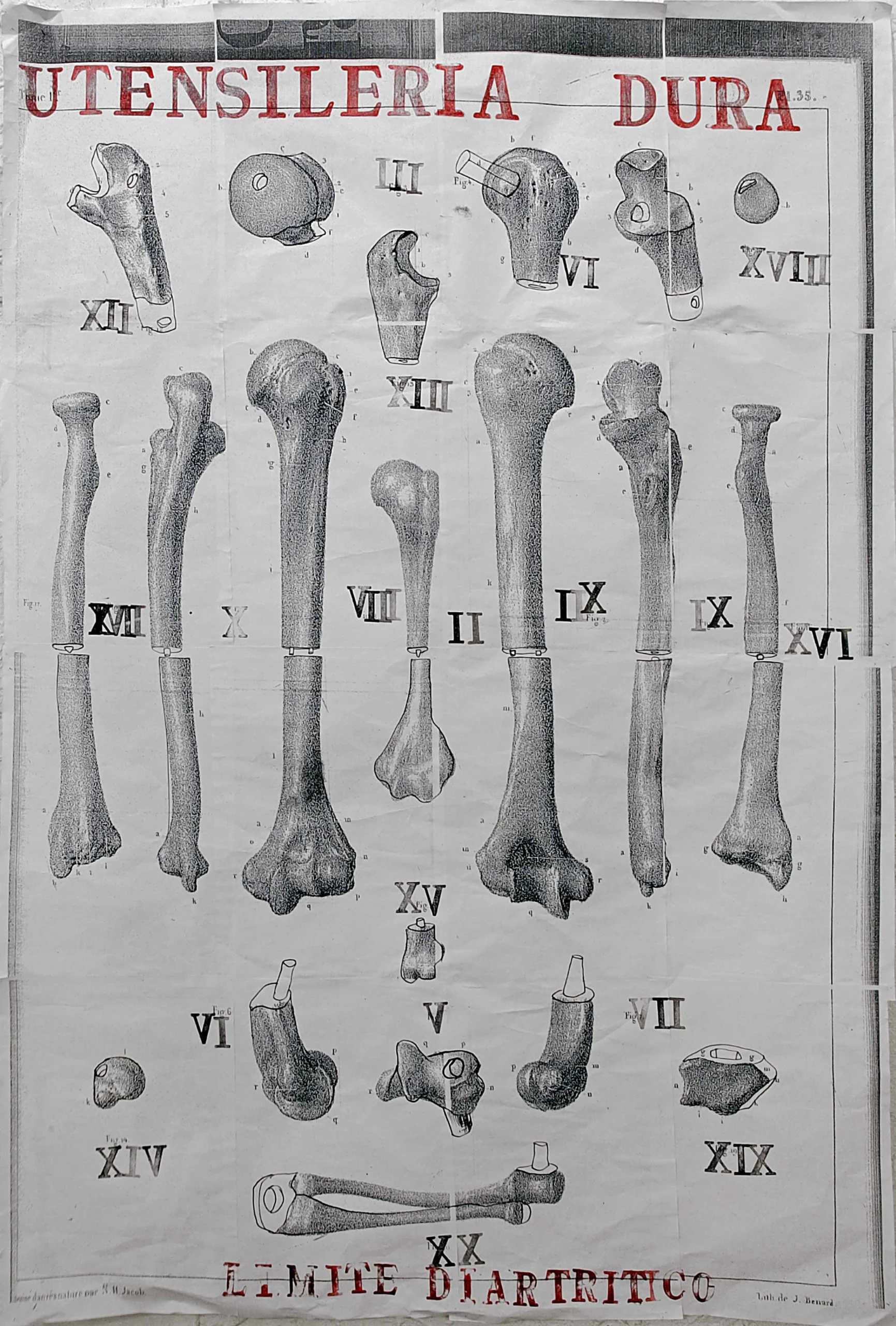 Index, 2012