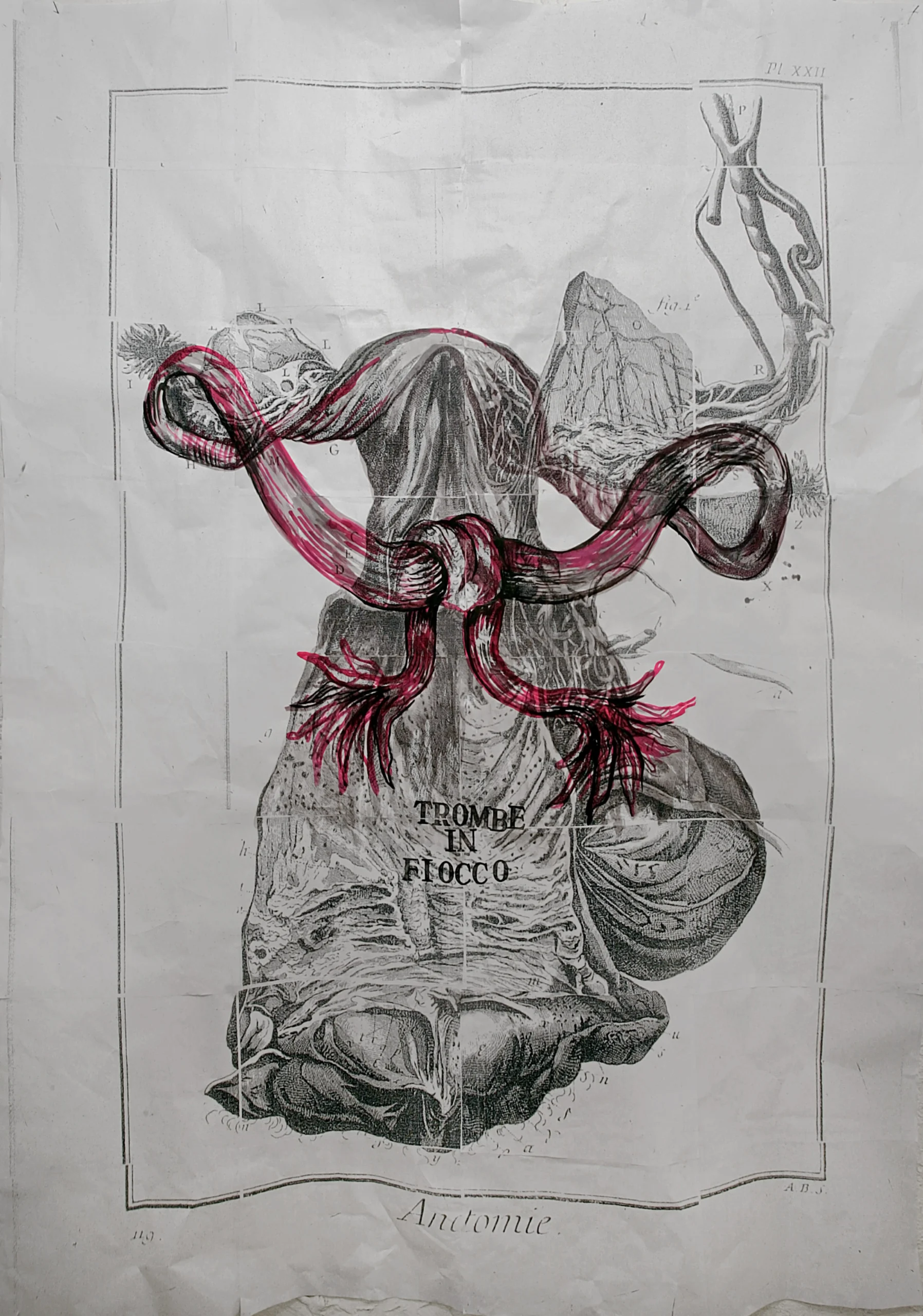 Index, 2012